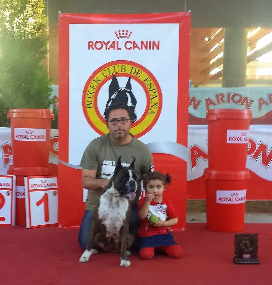 Heineken: rbis talavera 2015