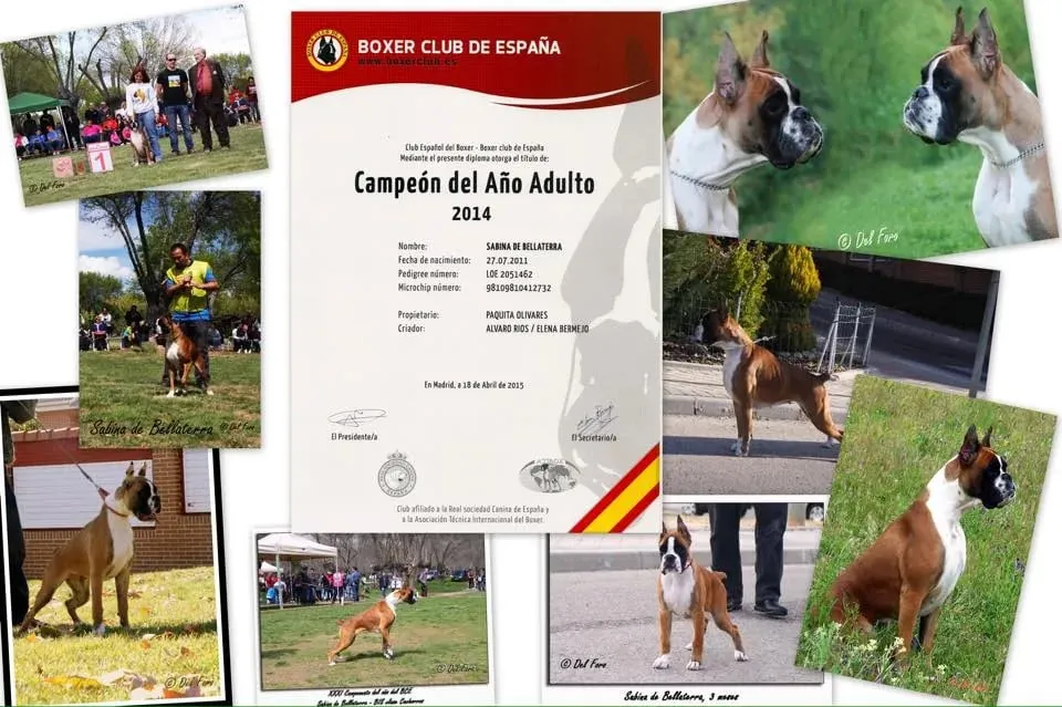 Sabina, foto 16 de 18