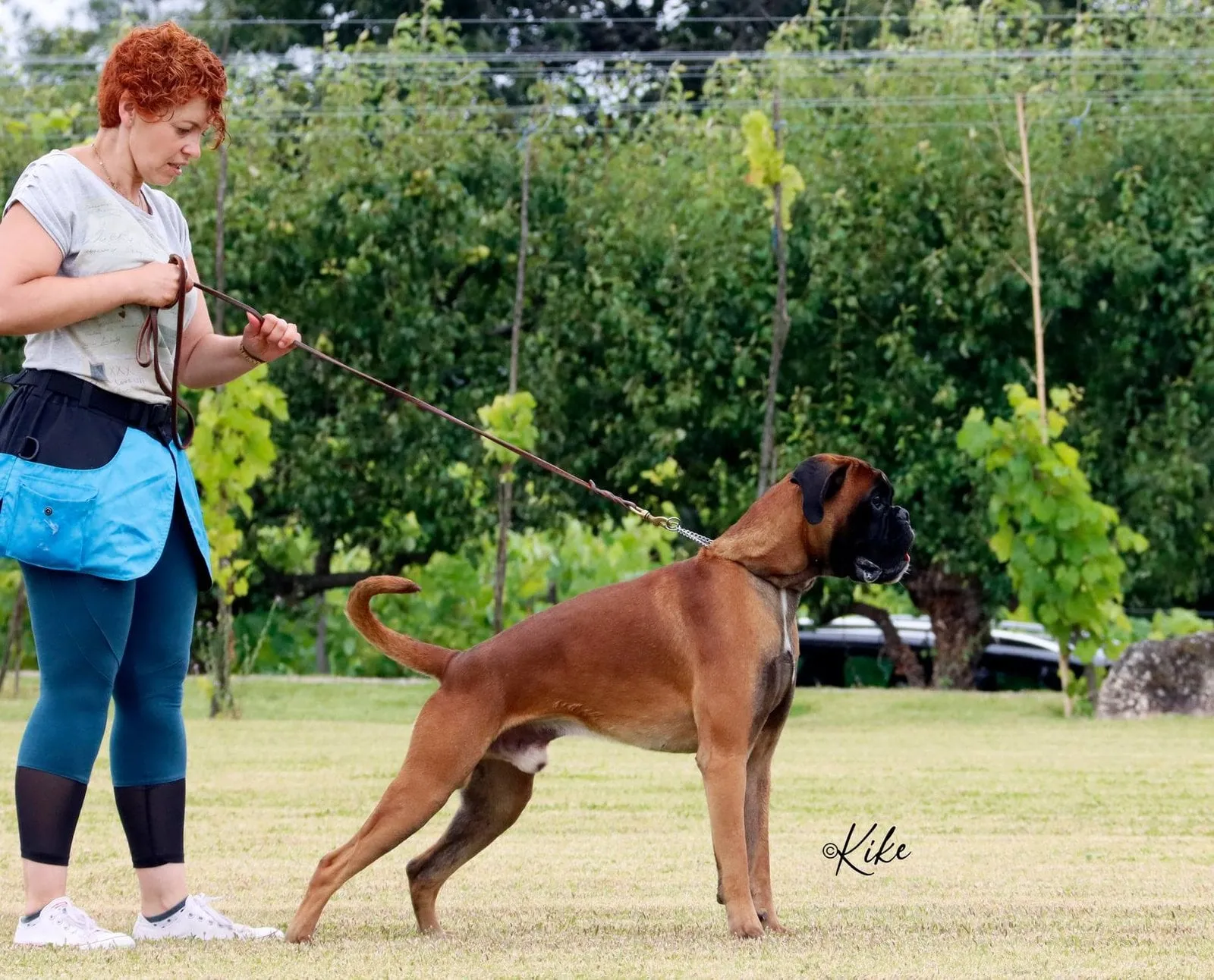 Sancho, foto 20 de 25