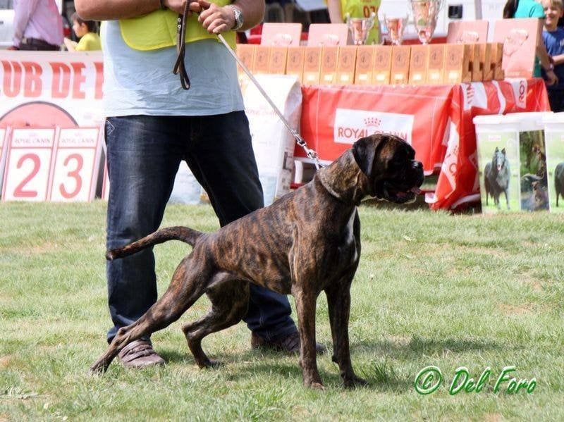 Prada, foto 3 de 40