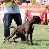Prada, foto 3 de 40
