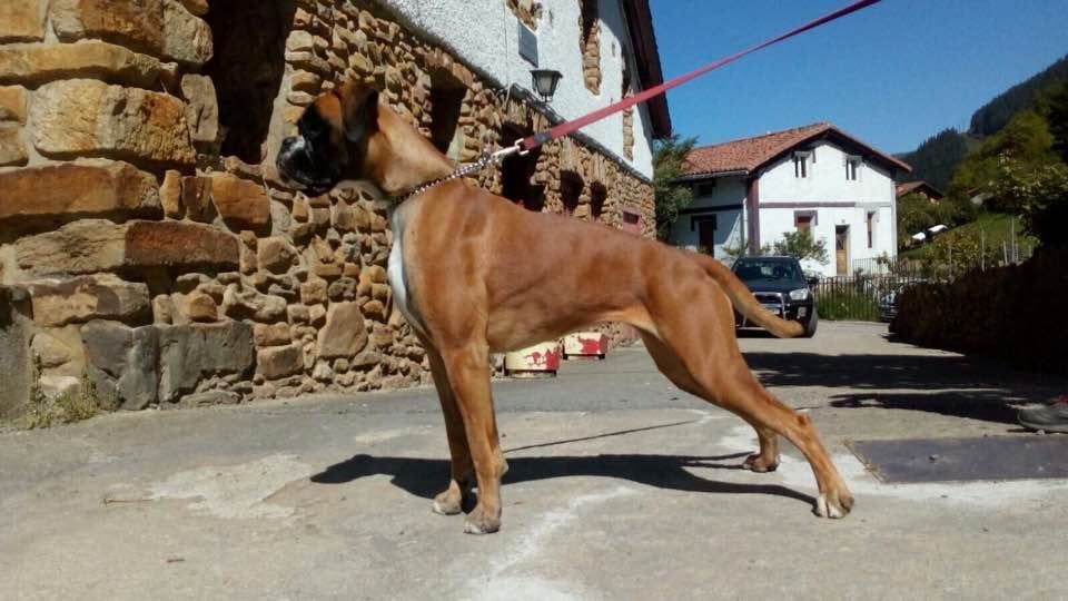 Camada «R», foto 2 de 11