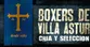 Villa Astur
