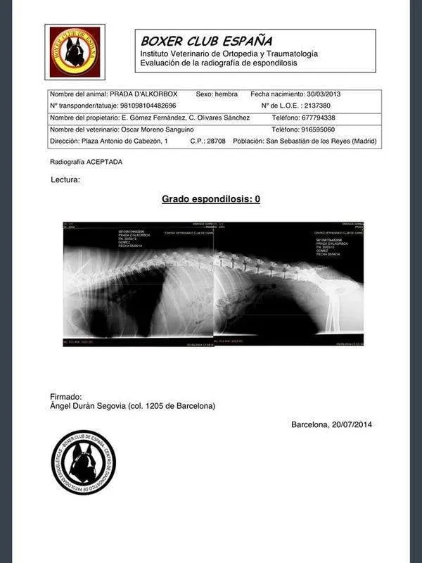 Prueba de salud de CH. Prada d'Alkorbox (1)