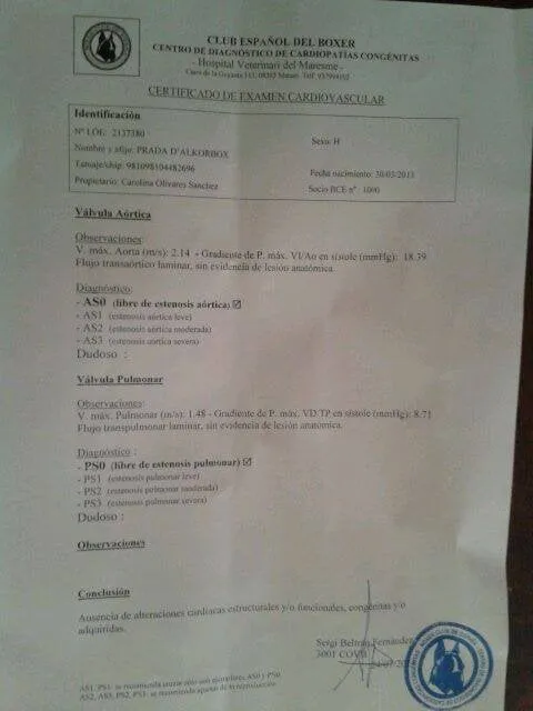 Prueba de salud de CH. Prada d'Alkorbox (2)