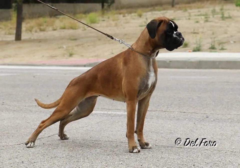 Rita: 10 meses 2