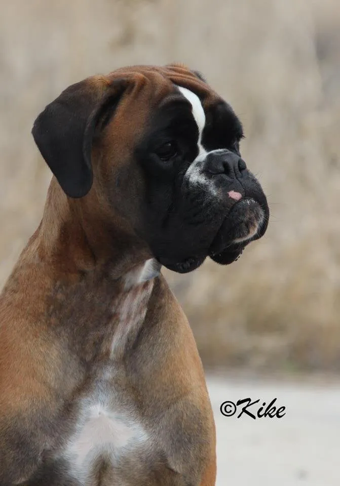 Rita: cabeza